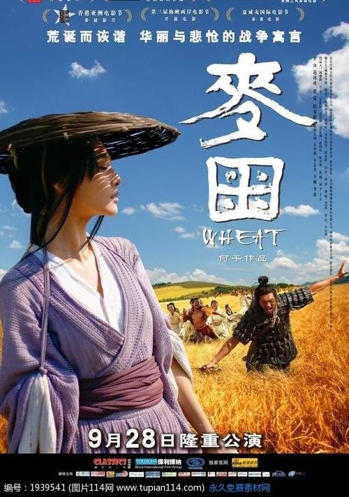 北骑术学院Accounting Diploma